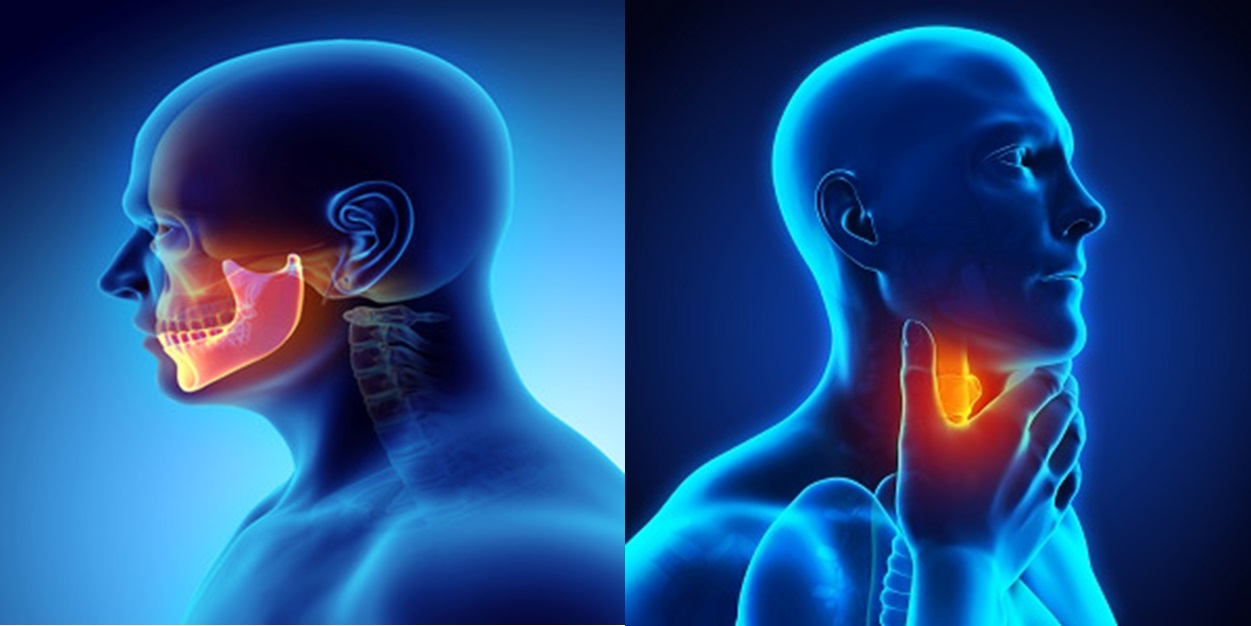 Head and Neck Cancer Drugs Market