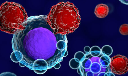 Personalized Cell Therapy Market