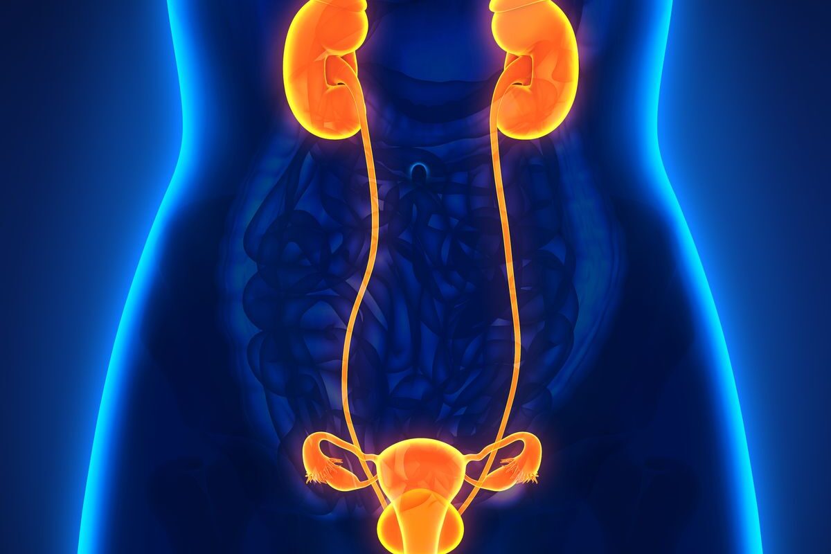 Urinary Tract Infection Therapeutic Market