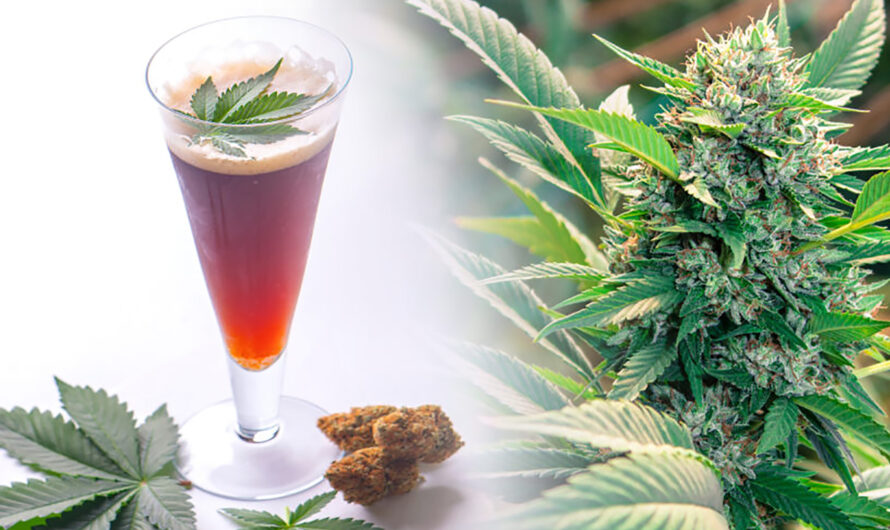 Emerging Cannabis-Infused Beverage Industry is Expected to be Flourished by Growing Demand for Cannabis-Infused Health Beverages