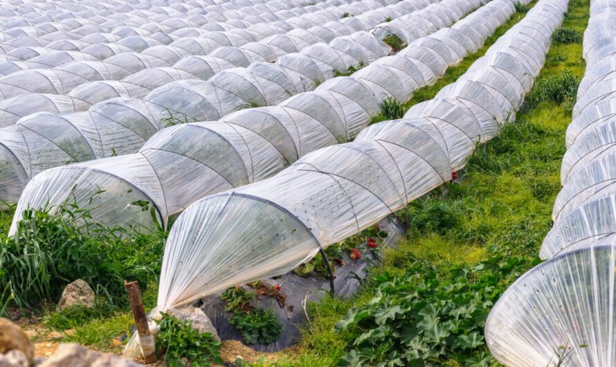 Greenhouse Produce Market Is Projected To Driven By Increasing Climate Change Concerns