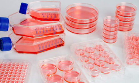 Primary Cell Culture Market