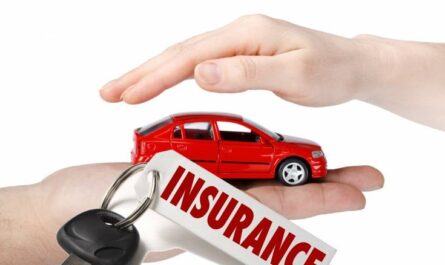 Vehicle Insurance