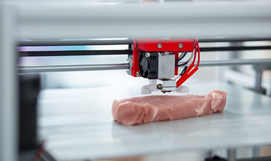 3D Printed Meat Market is Poised to Revolutionize the Food Industry by Sustainable Production