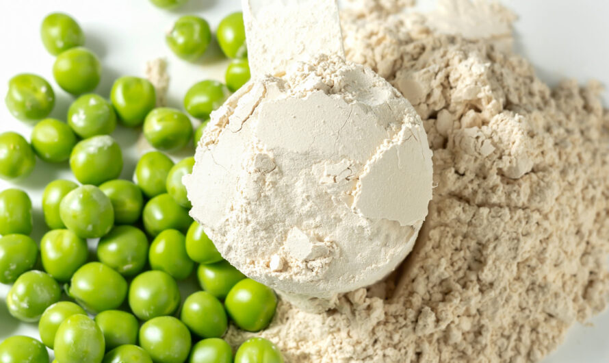 Pea Protein: Nature’s Sustainable Way to Build Muscle and Lose Weight In The Industry
