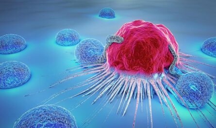 Persistent Imbalance in Cancer