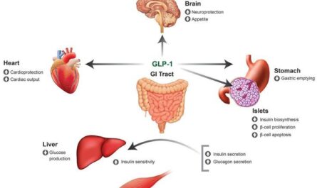 GLP-1 Receptor Agonists